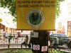 Криву липу у Львові взяла під опіку Асоціація жіночого футболу