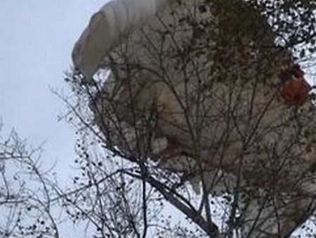 1308148.jpg?May%207,%202014%206:38:09%20PM