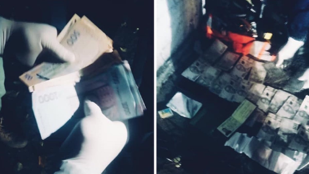 ДБР викрило волинського лісівника на хабарі у 29 тис. грн - ZAXID.NET