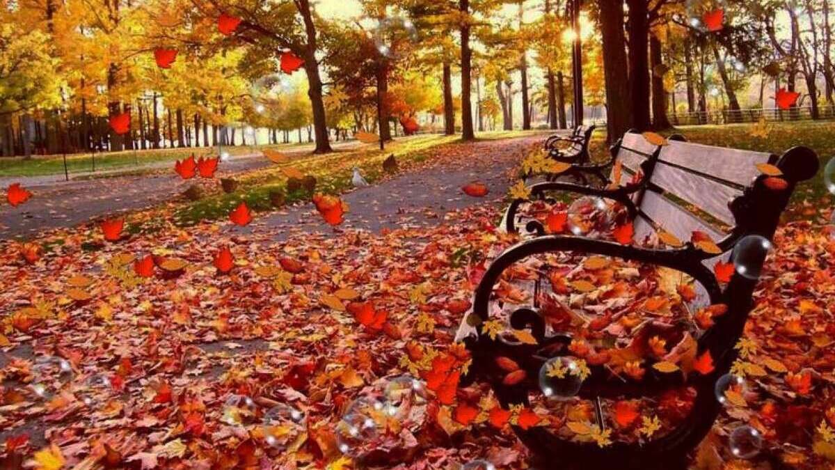 Остання осінь Пуйла – прогноз і поради Євгена Дикого