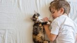 Двоє дітей з Львівщини втратили зір на одне око через подряпини кота