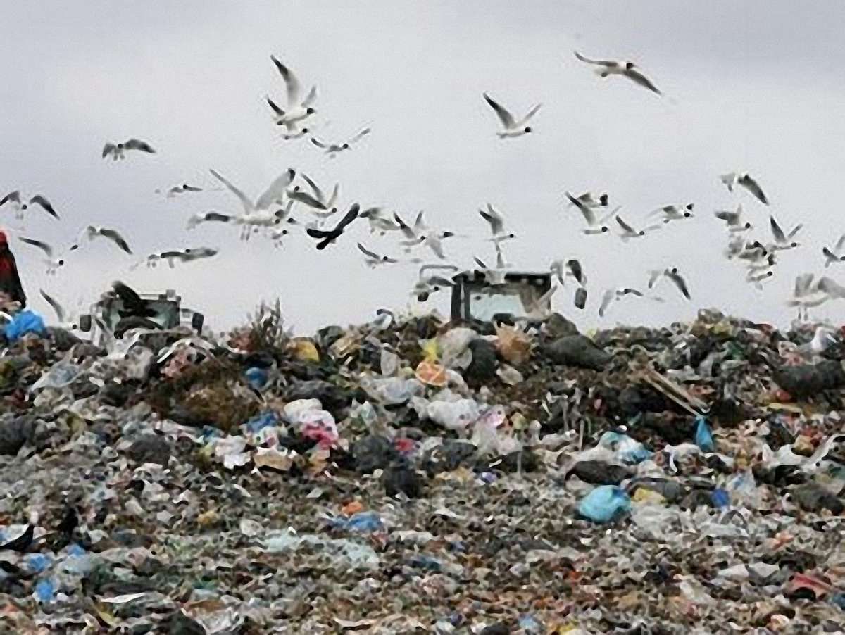 У Новояворівську збудують сміттєзвалище за 13 млн  грн