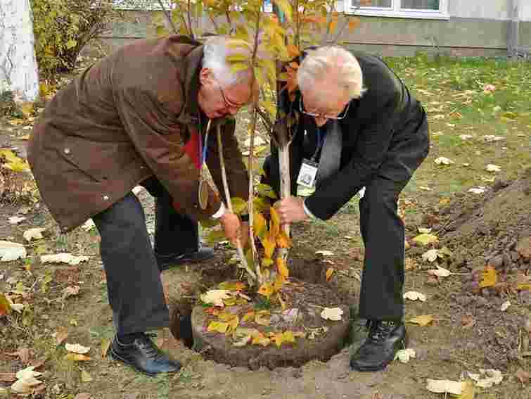 У Львові педагоги висадили українсько-голландську алею Дружби
