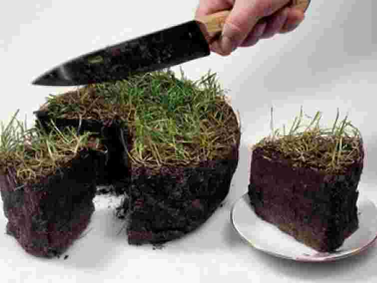 На Тернопільщині підприємство самовільно захопило 65 га землі