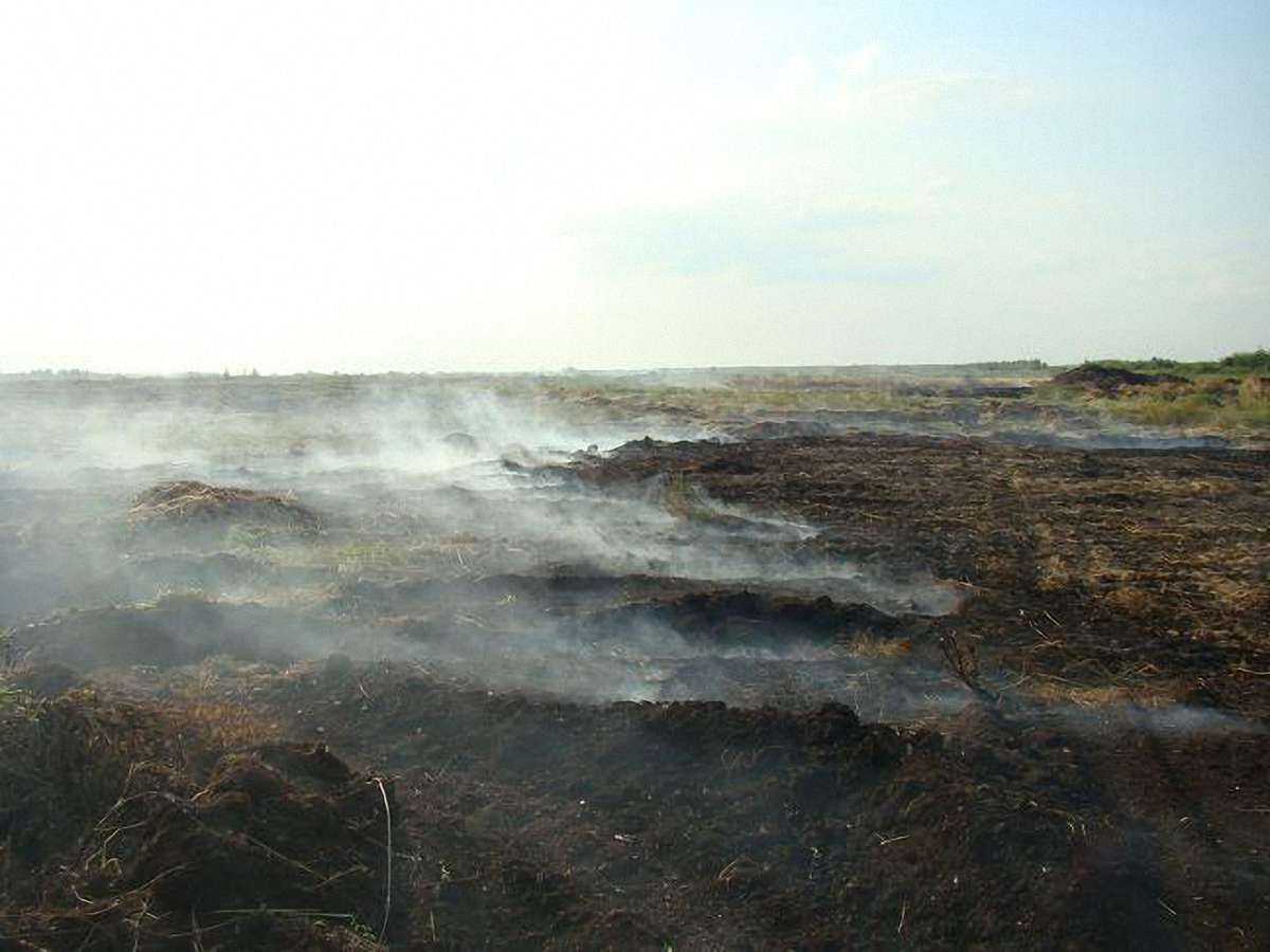 На Львівщині горіло 8 гектарів торфу