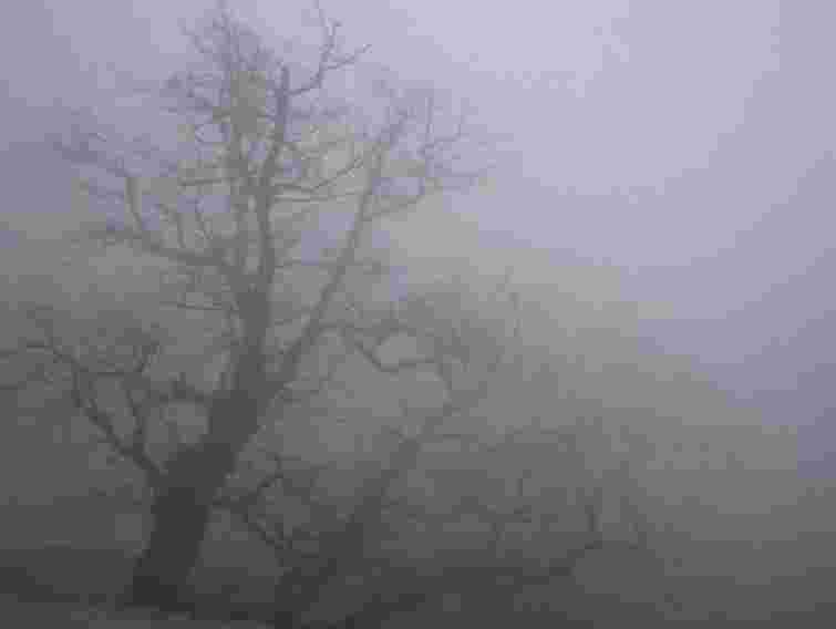 На Львівщині завтра до 5 градусів тепла, туман