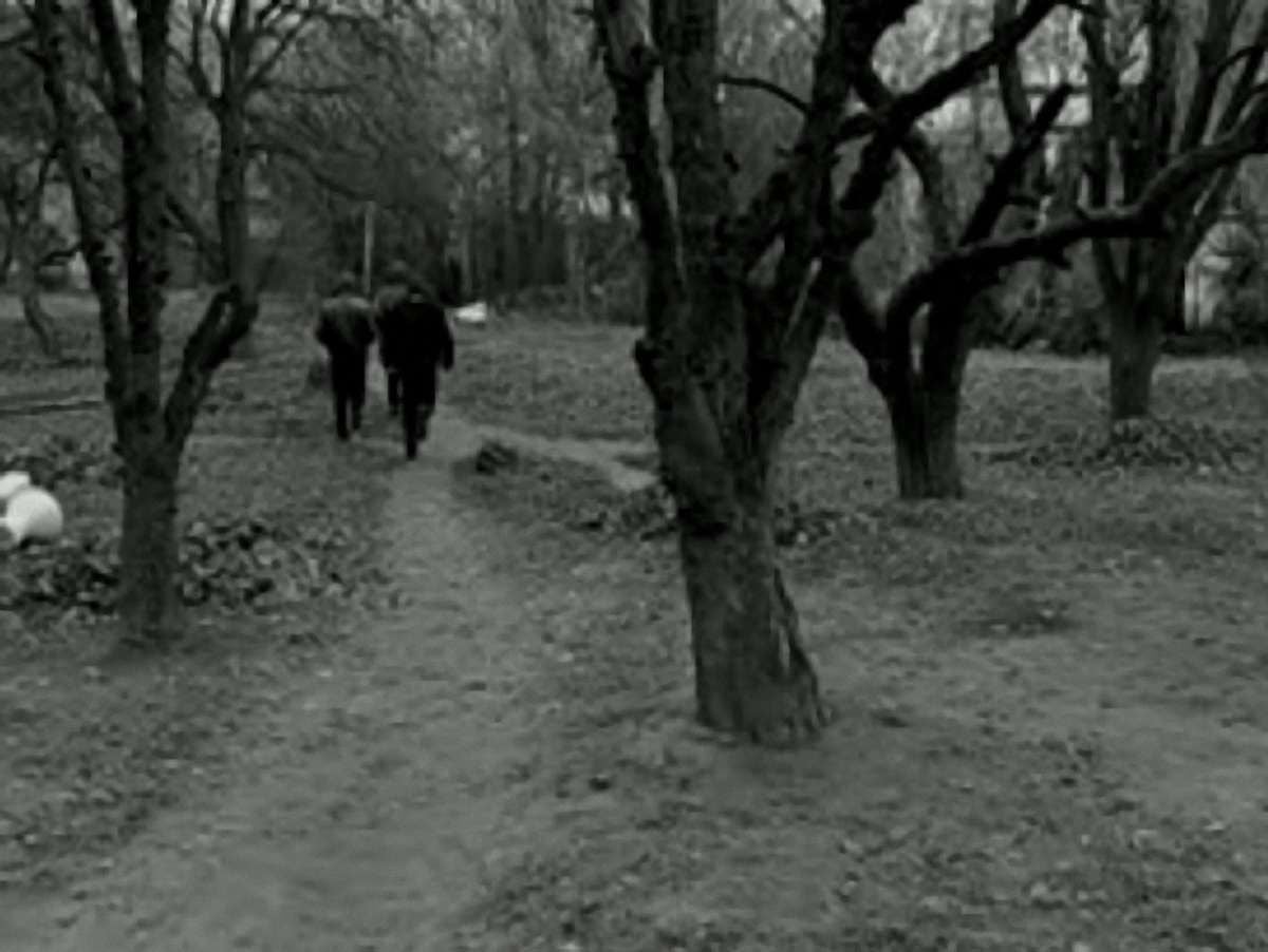 Троє спортсменів до смерті побили чоловіка у Львові