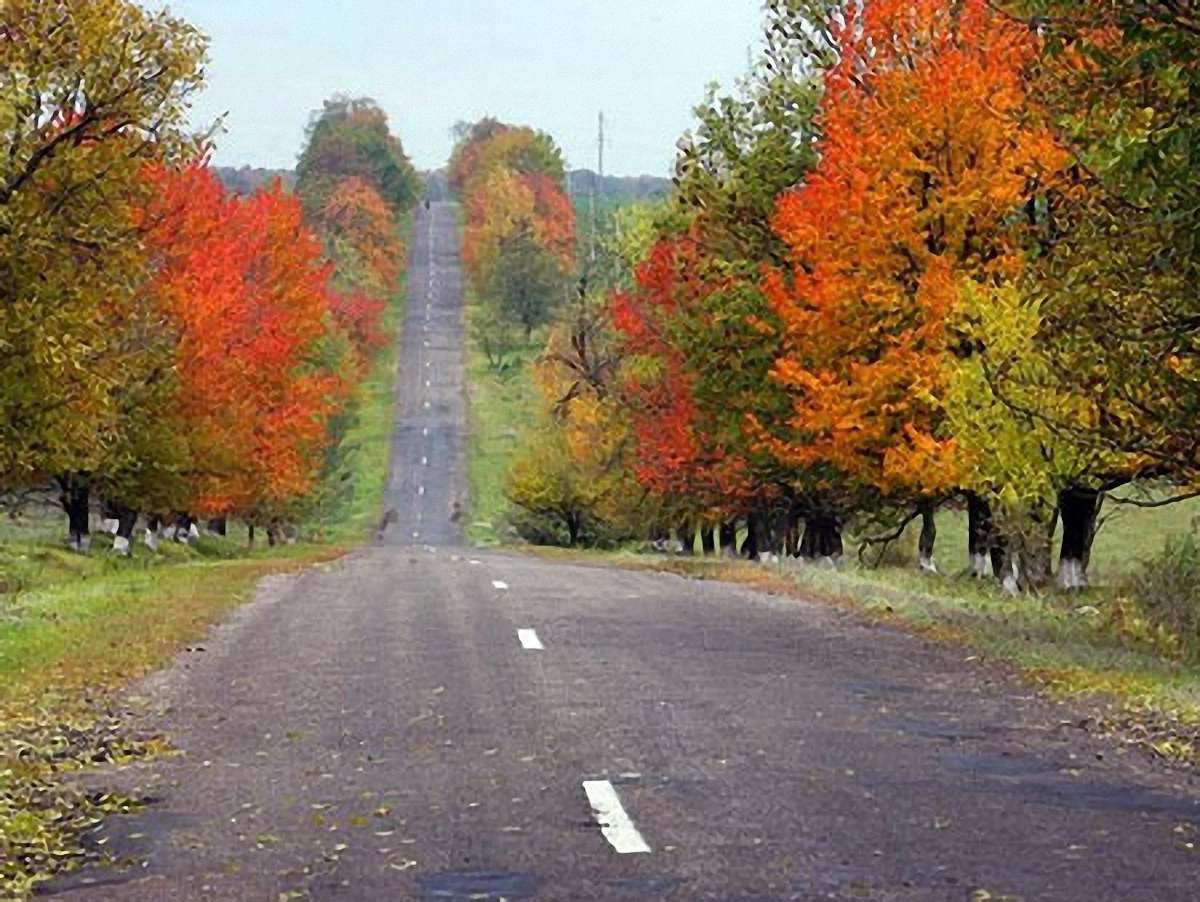 Дорога Львів-Краківець буде готова до Євро-2012, – Укравтодор
