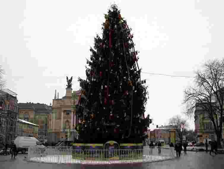 Головну ялинку Львова відкриють 19 грудня