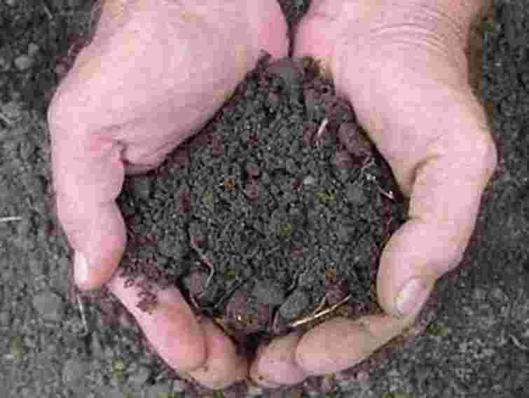 Посадовці Держкомзему незаконно роздали майже 1 га землі