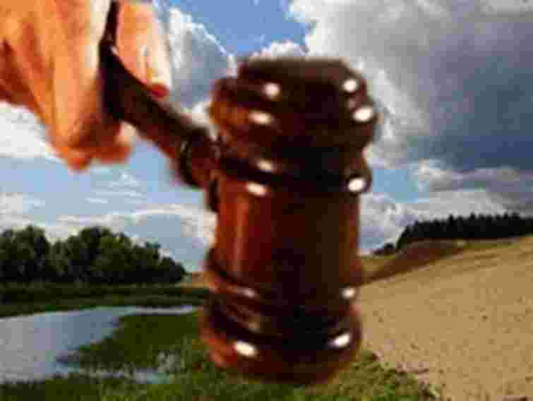 Поблизу Львова виставлено на аукціон 8 земельних ділянок