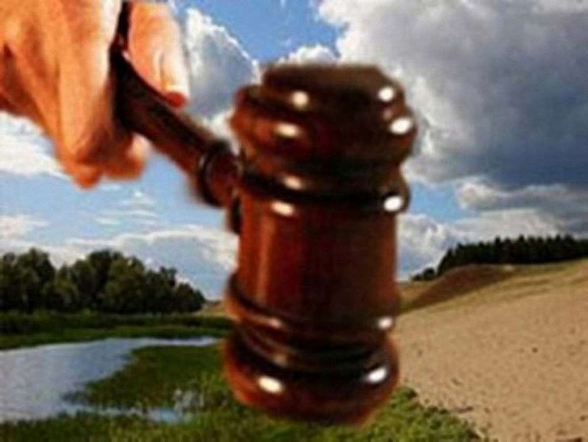 Поблизу Львова виставлено на аукціон 8 земельних ділянок