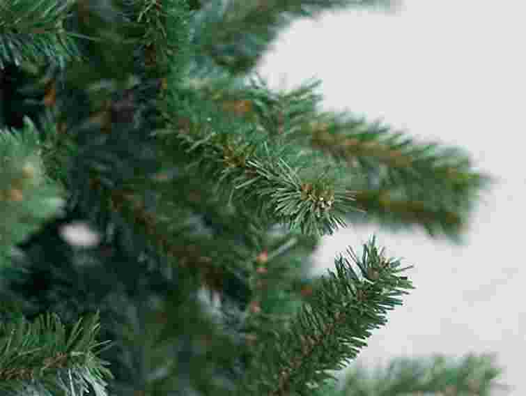 1 грудня в Україні стартує операція "Новорічна ялинка"