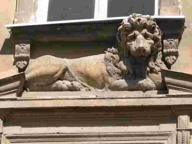 Близько 4 тисяч львівських левів зібрали в одній книжці