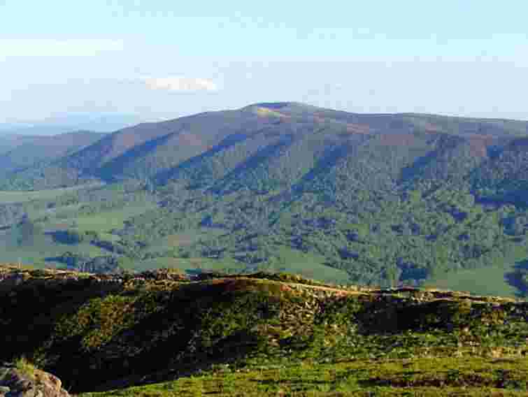 На Закарпатті службовці незаконно передали у власність 1 га землі