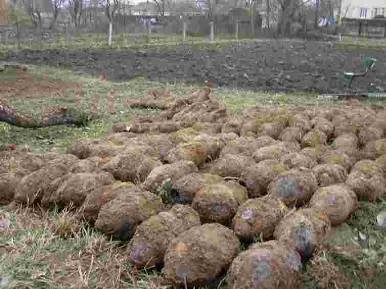 На Львівщині знешкоджено 57 боєприпасів часів ІІ світової