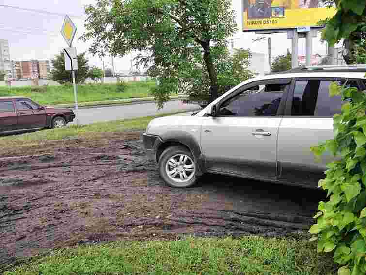 Львів’яни сплатять майже 13 тис. грн за знищення зелених насаджень 