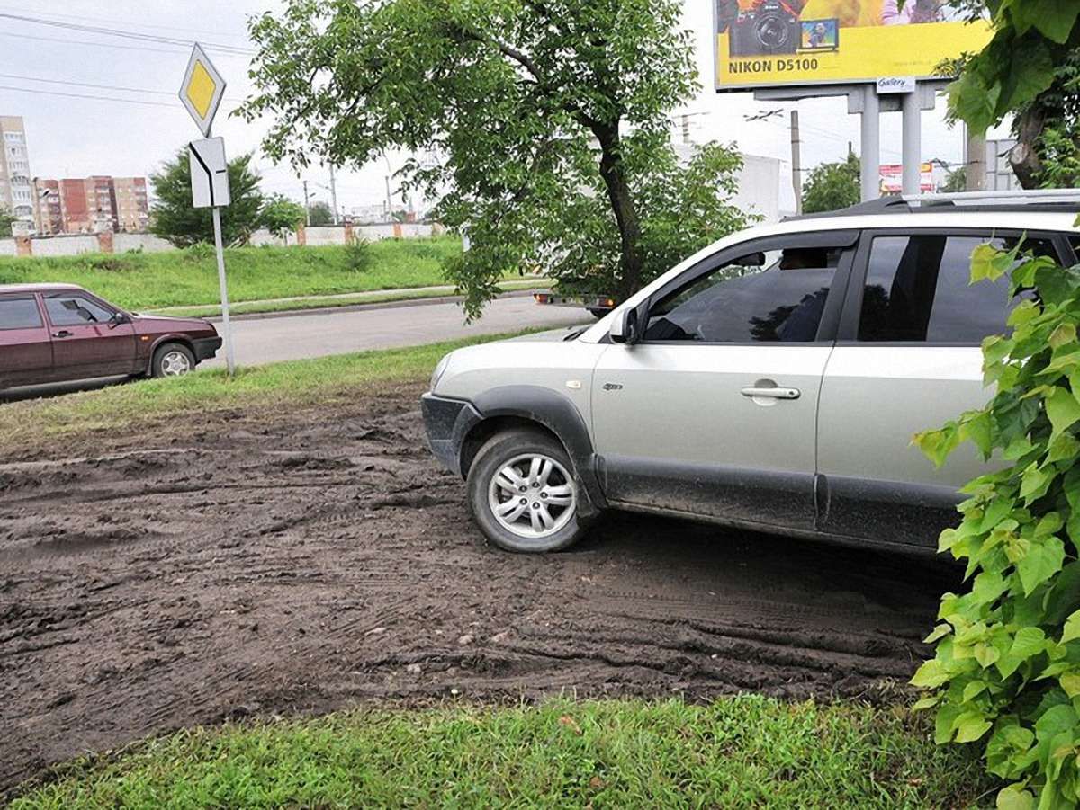 Львів’яни сплатять майже 13 тис. грн за знищення зелених насаджень 