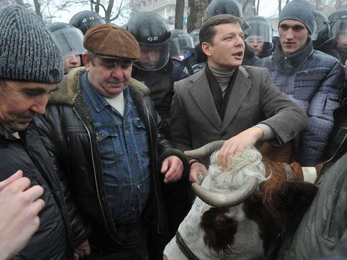 Олег Ляшко: Корова розумніша за більшість депутатів