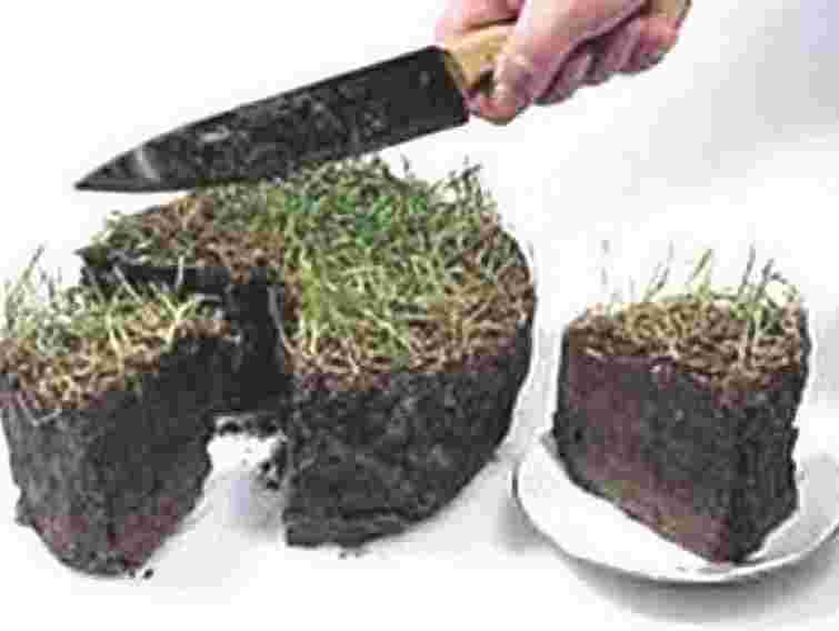 Рада не продовжила мораторій на продаж землі