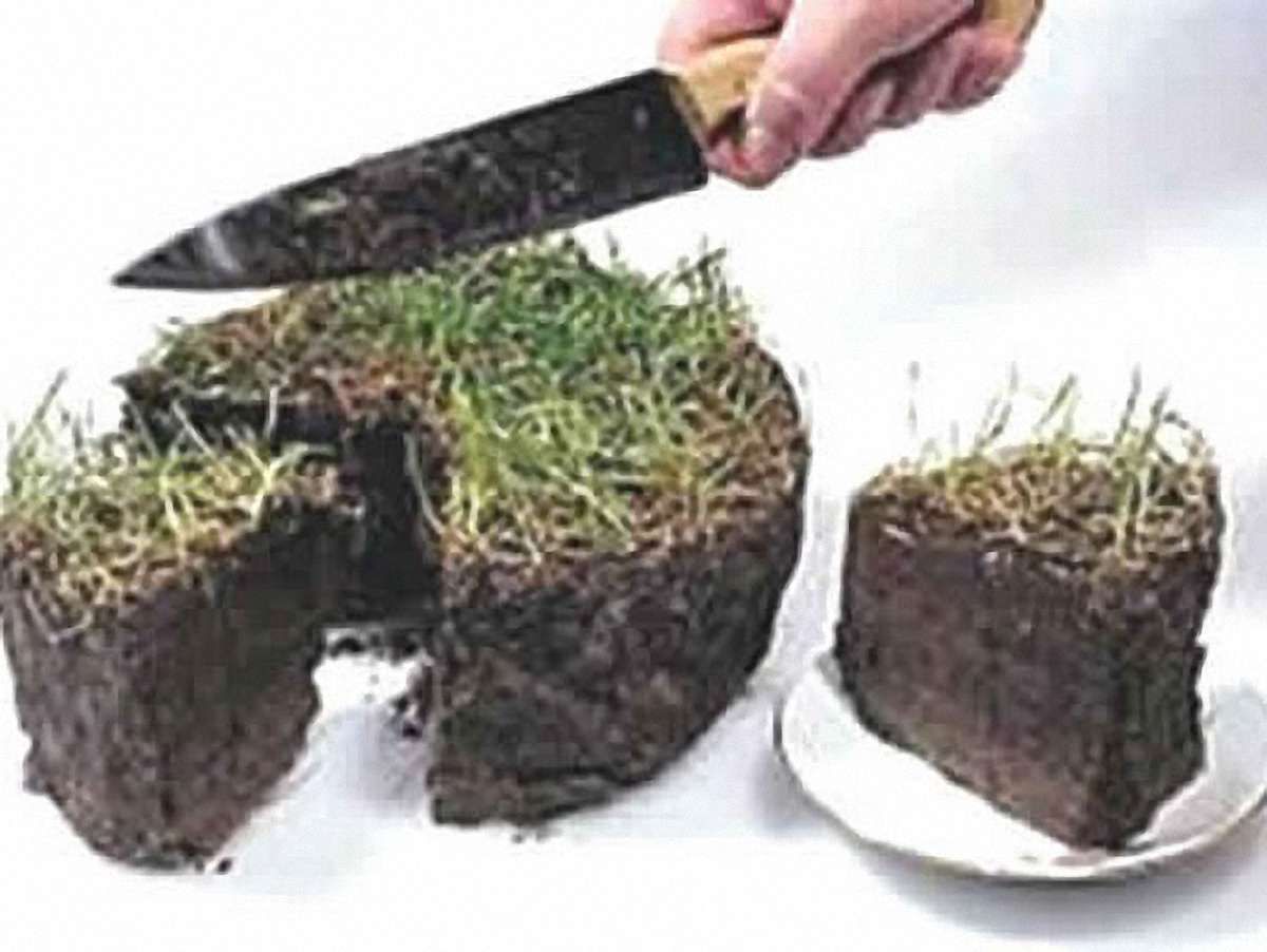 Рада не продовжила мораторій на продаж землі