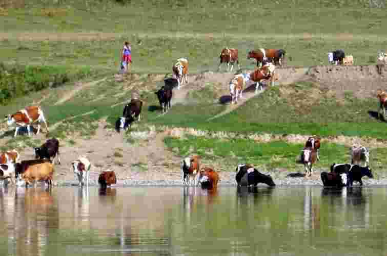 Щоб заволодіти 2100 га землі, її заберуть у 525 господарств, - законопроект