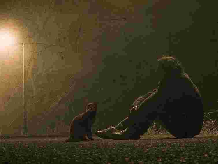 У Львові благодійників просять допомогти безпритульним