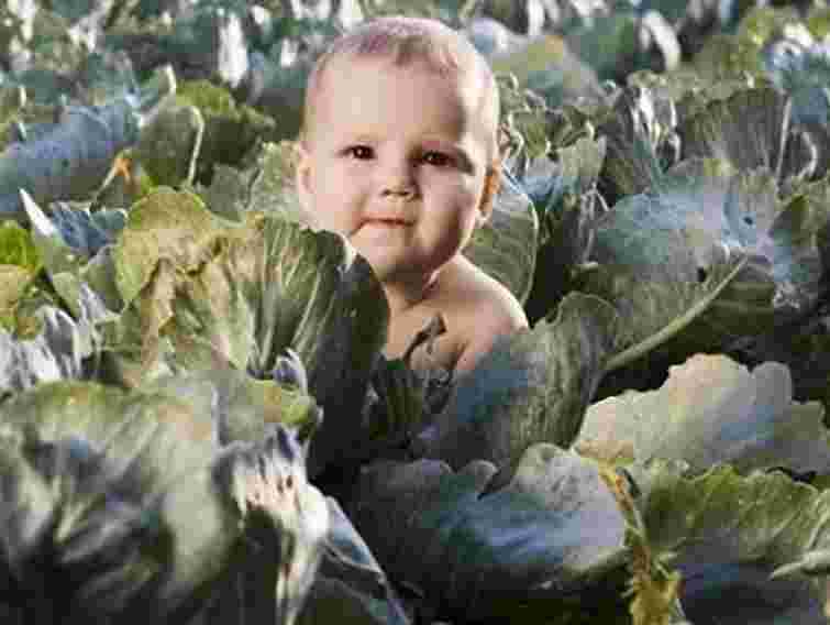 В Україні кожна п'ята дитина – позашлюбна