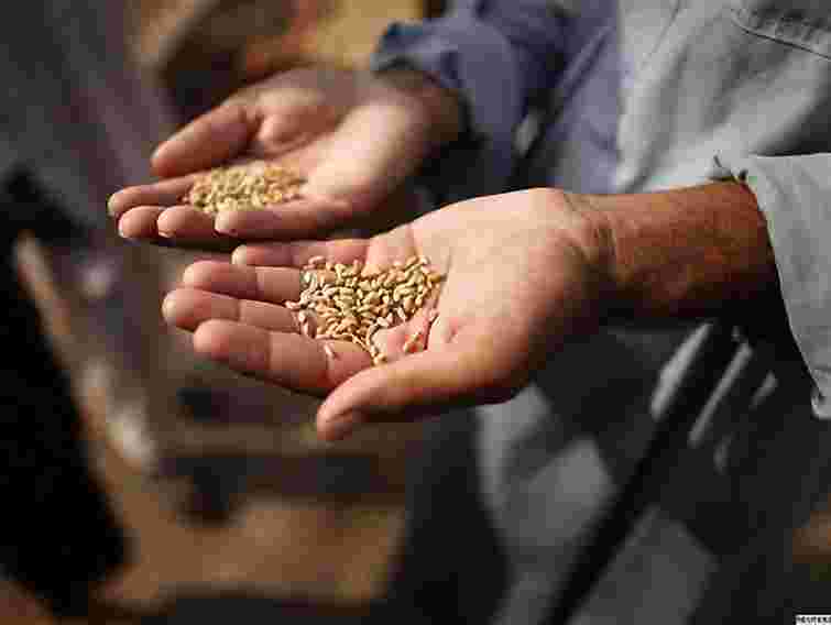 Рада ухвалила закон про продовольчу безпеку