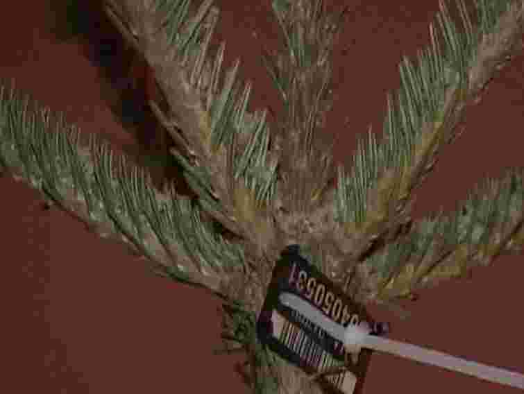 Львів’яни не поспішають купувати ялинки