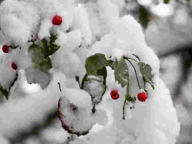 Завтра в Україні – до 5° морозу