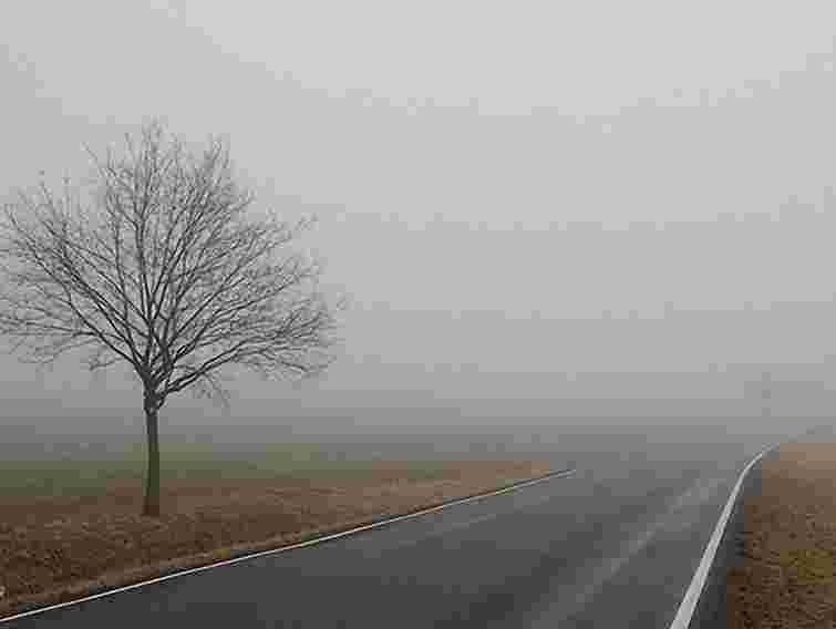 На Львівщині завтра до 7 градусів тепла та туман