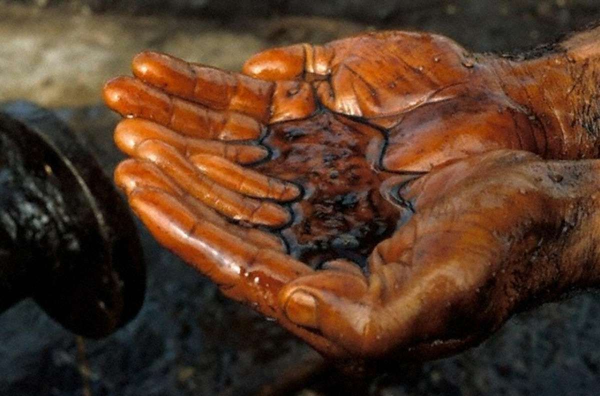 Україна наступного року не експортуватиме нафти