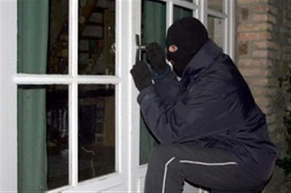 Міліція затримала злодіїв, що обкрадали дачі на околицях Львова