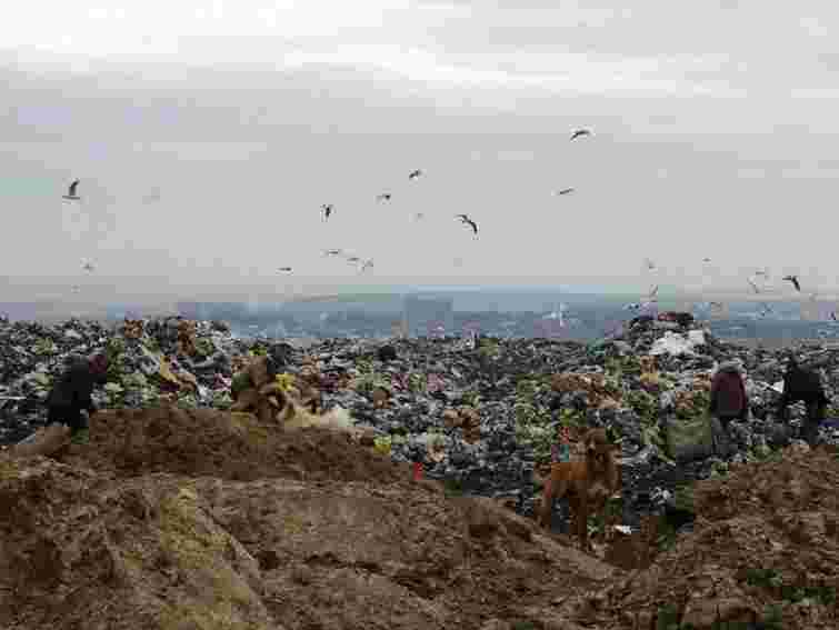 На Івано-Франківському сміттєзвалищі знайшли двох убитих жінок