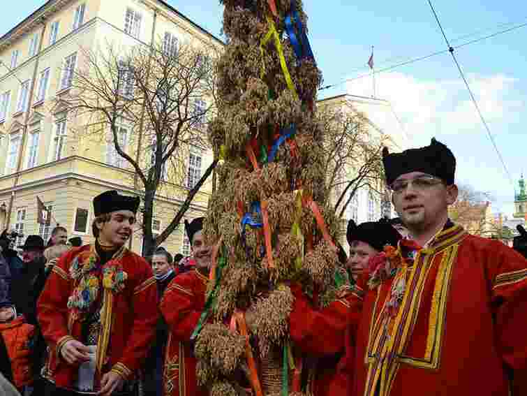 У Львові встановили головного Різдвяного Дідуха