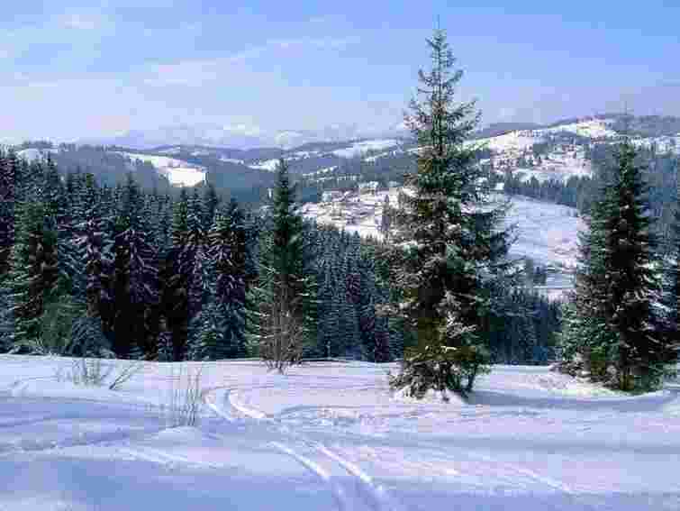 У Карпатах врятували 8-річну дівчинку