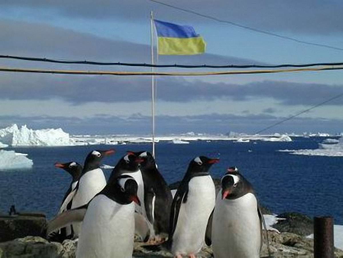 На експедицію в Антарктиду Україна витратить 15 млн грн