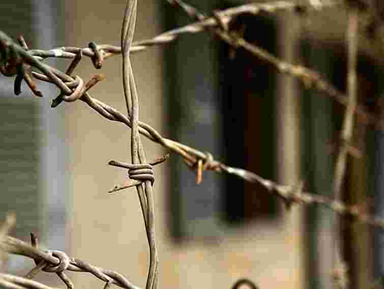 У ПАРЄ побоюються, що Луценко та Іващенко у СІЗО не виживуть