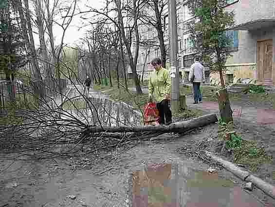 У 2011 році львів’яни скаржились на шкоду довкіллю 38 разів