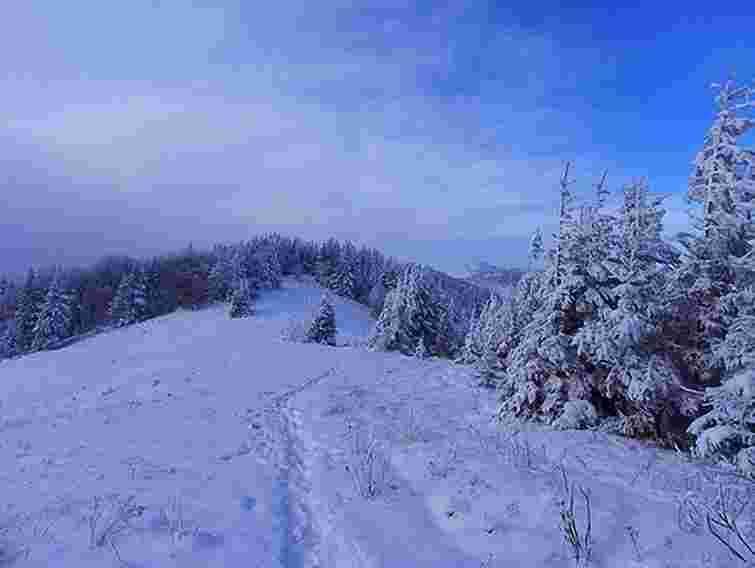 У львівських Карпатах знайшли 5 туристів, які заблукали