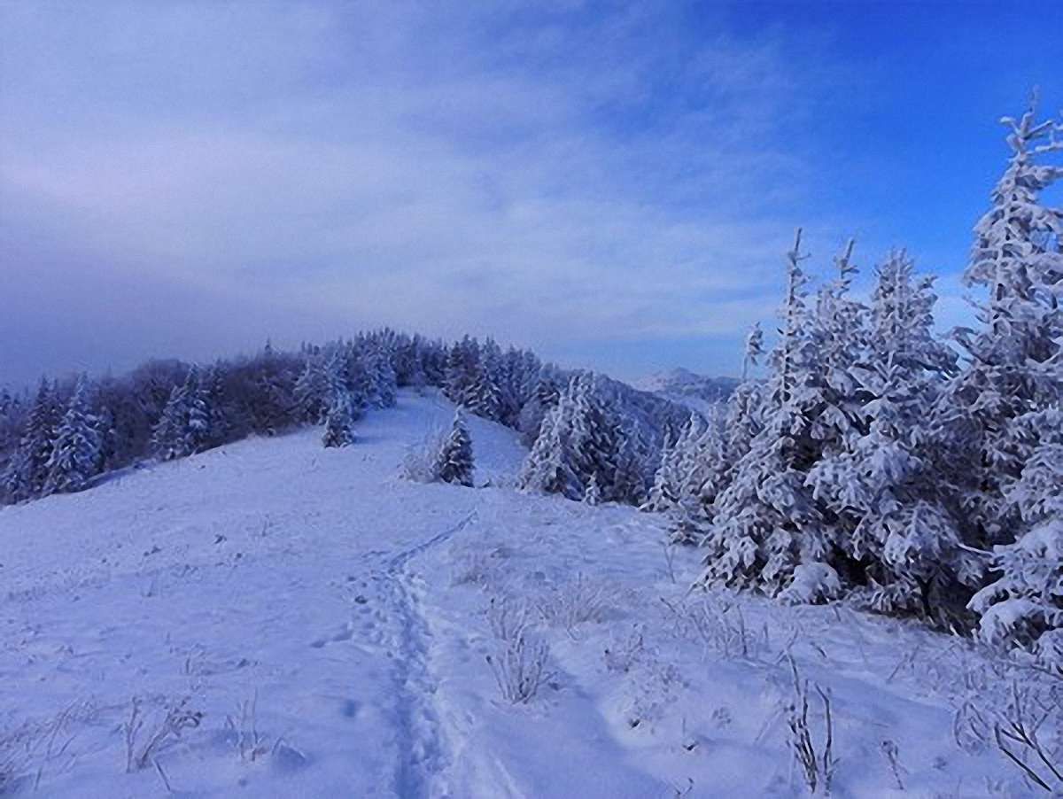 У львівських Карпатах знайшли 5 туристів, які заблукали