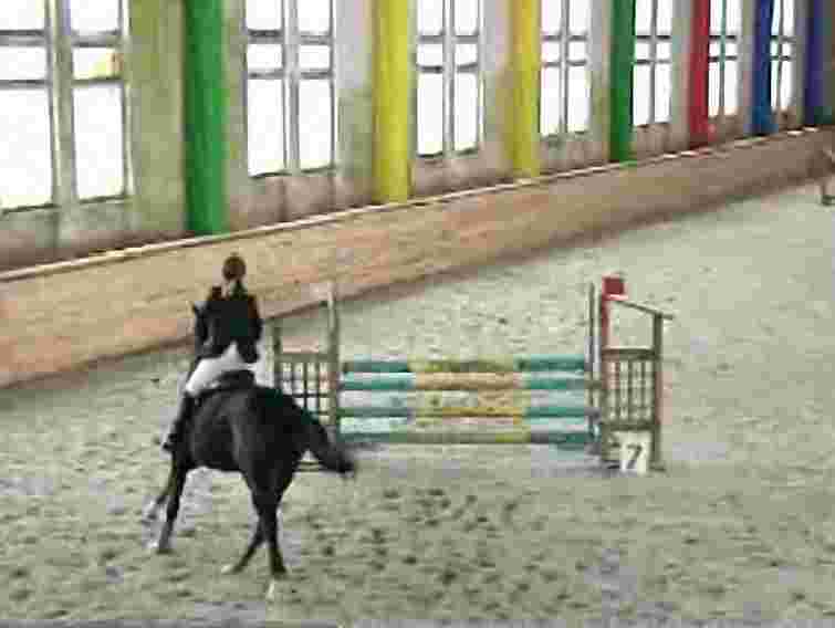 У Львові завершились змагання з конкуру