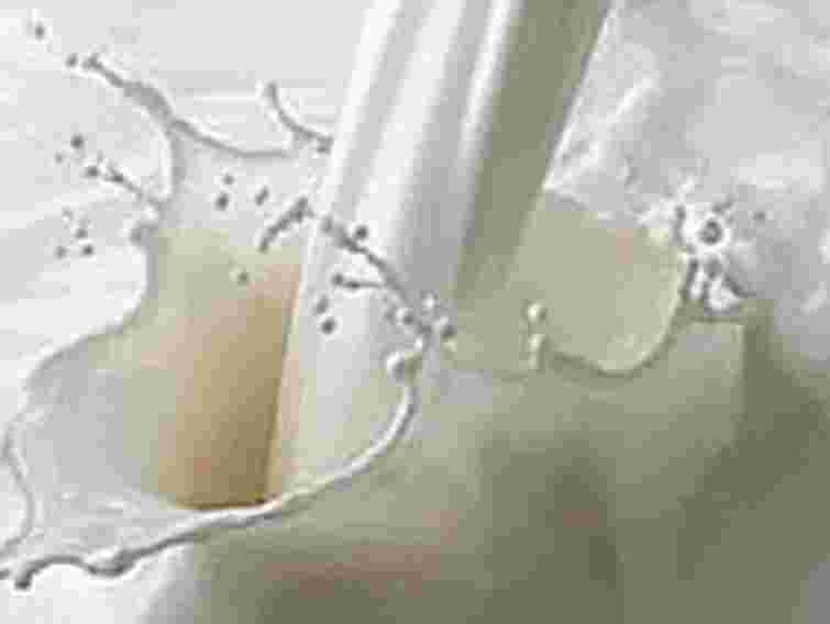 «Охмадит» закупить 60 тисяч літрів молока