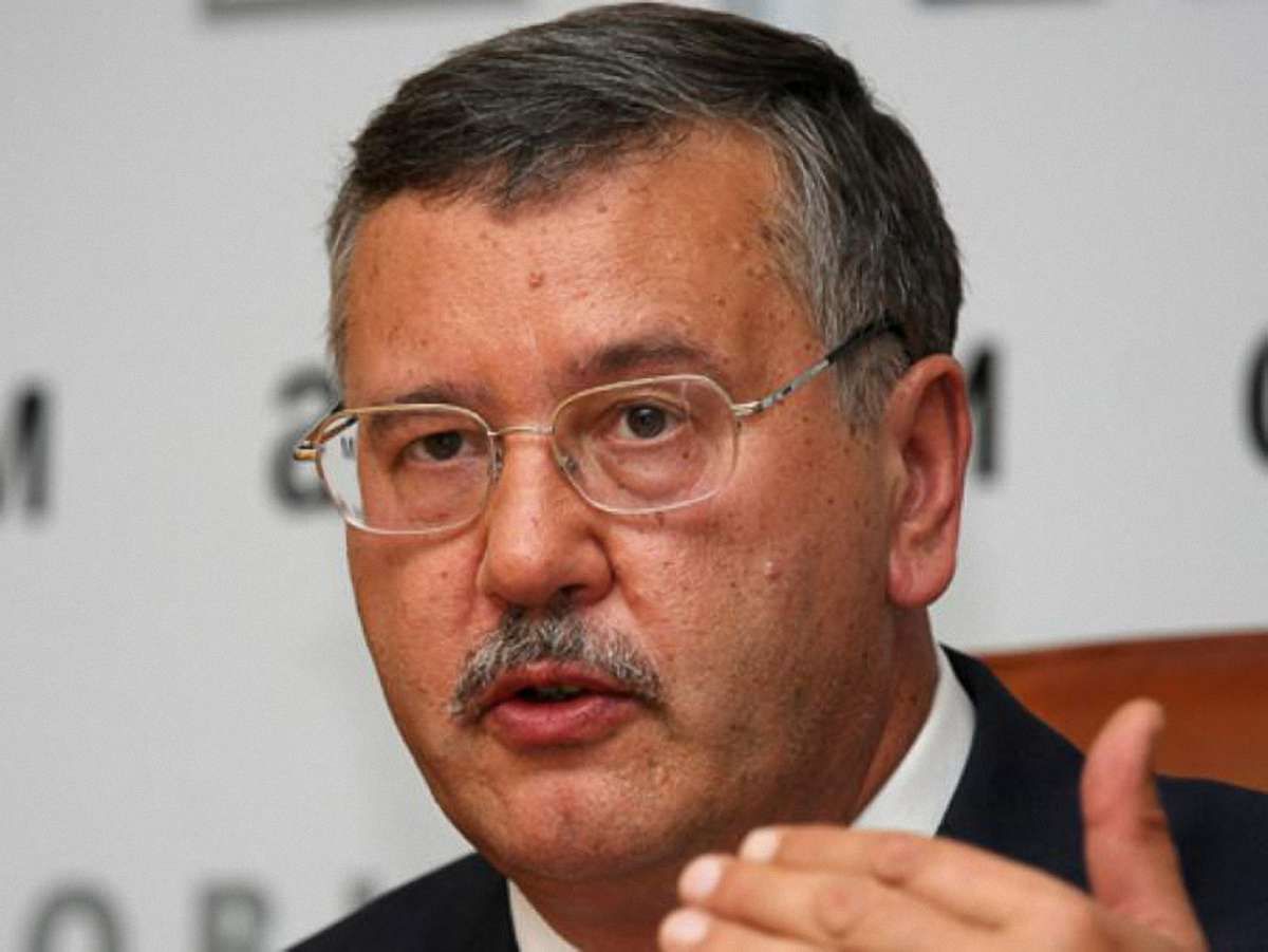 Гриценко: Наше завдання – витягти Тимошенко на свободу