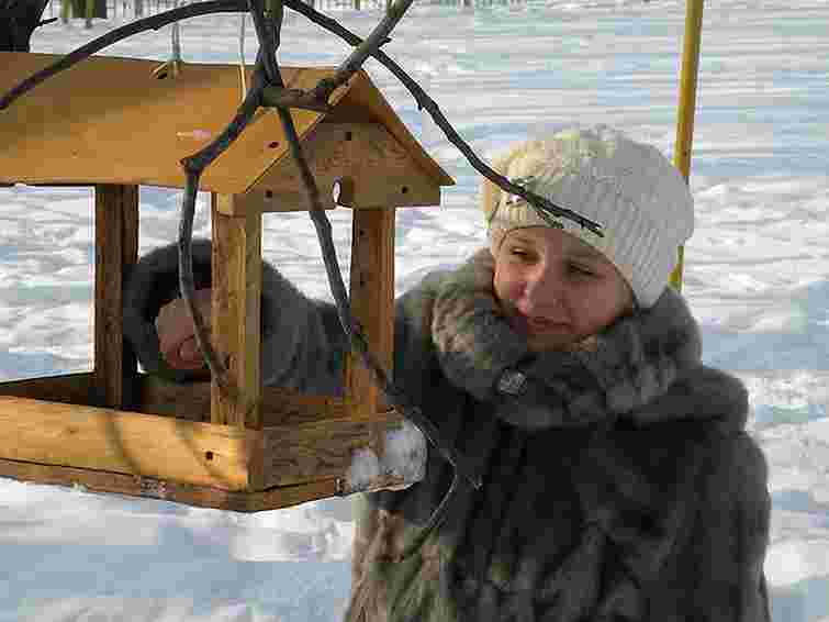 На Львівщині триває конкурс зимових годівничок