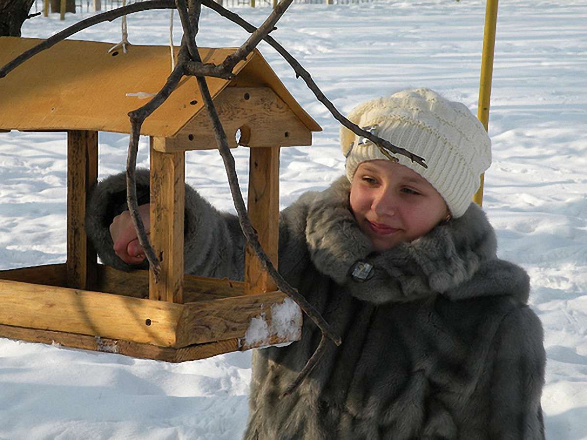 На Львівщині триває конкурс зимових годівничок