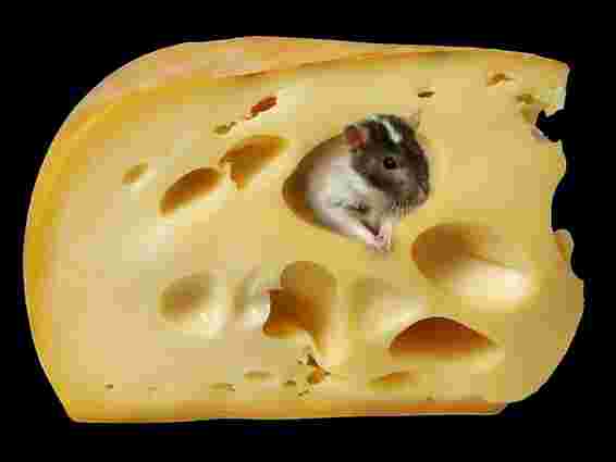 Росспоживнагляд: Українські виробники сиру порушують права споживачів