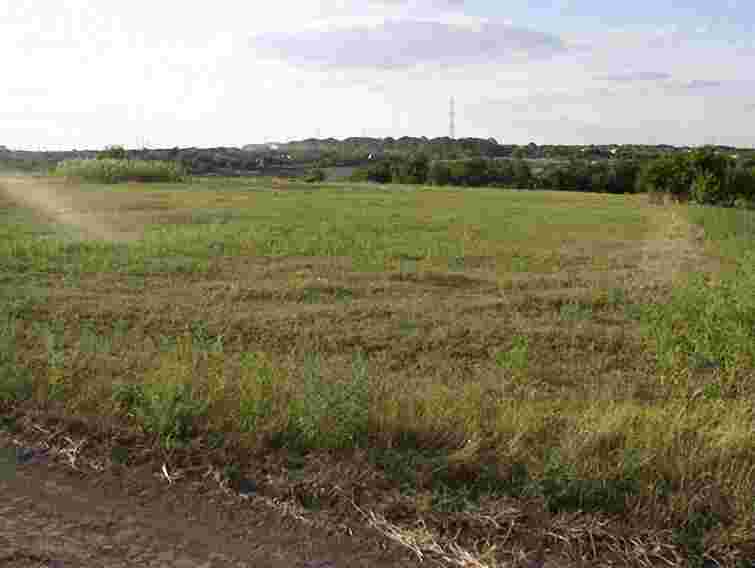 Селищний голова дозволив приватизацію ділянки у рекреаційній зоні