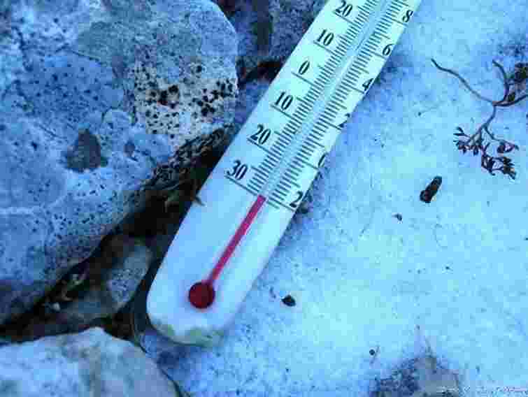 Низка шкіл Львівщини робить перерву в навчанні до 3 лютого